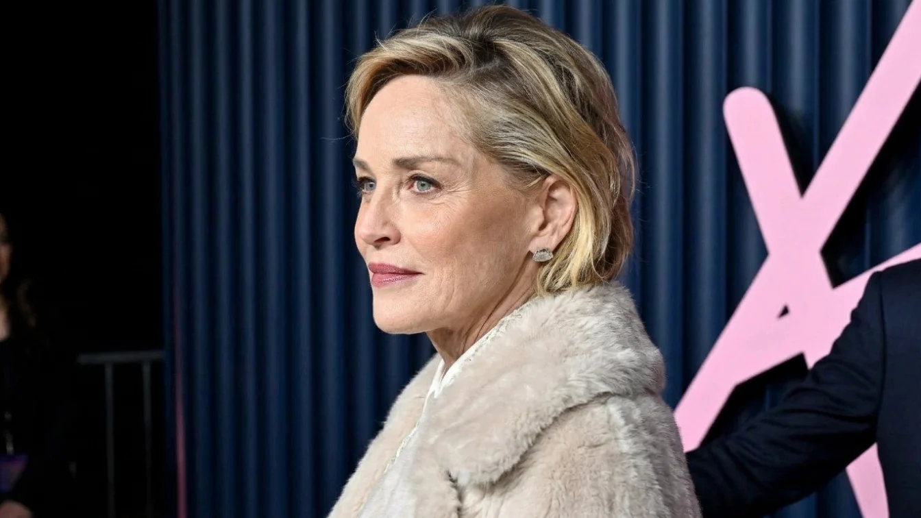 Imaginea care schimba totul. Cum a aparut Sharon Stone la 68 de ani