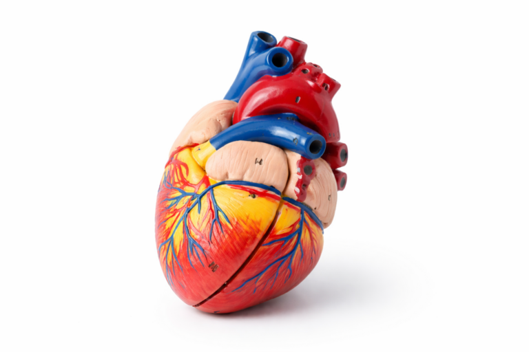 Angiografia coronariană nu înseamnă automat stent. Ce diferență esențială este față de angioplastie
