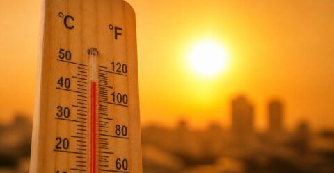 Urmează cele mai grele zile de caniculă din iunie. Ce înseamnă pentru tine dacă ai drumuri, copii sau muncă afară