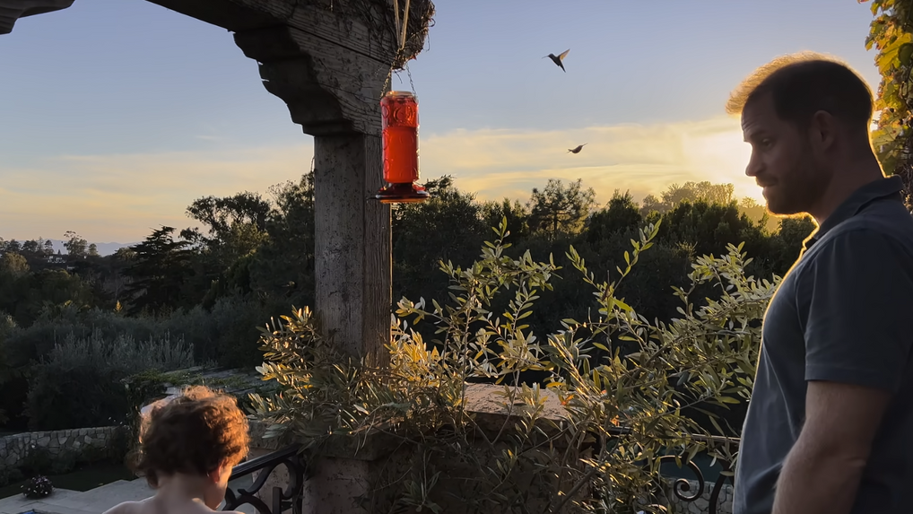 Prince Harry and son Archie watching hummingbirds