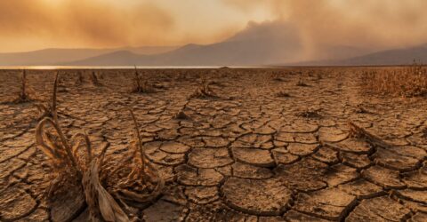 Anxietatea climatică afectează 4,6% dintre britanici