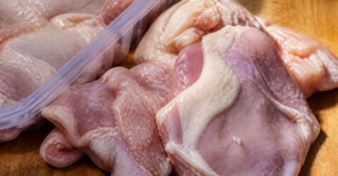 Bacteria Campylobacter s-a răspândit de peste 100 de ori; între 60% și 80% dintre infecțiile la om provin