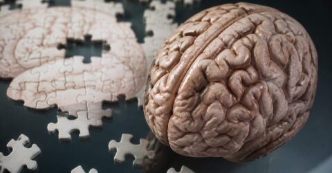 Nu uitarea ar putea fi primul semn din Alzheimer. Ce schimbare subtilă merită observată mai devreme