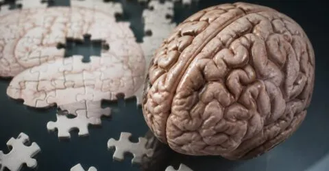 Nu uitarea ar putea fi primul semn din Alzheimer. Ce schimbare subtilă merită observată mai devreme