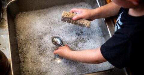 Două săptămâni după uscare și tot nu e sigur. Ce faci cu buretele de vase ca să nu plimbi bacteriile prin bucătărie