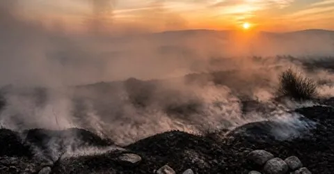 Fumul incendiilor aduce un risc major pentru fertilitate și sănătatea copiilor