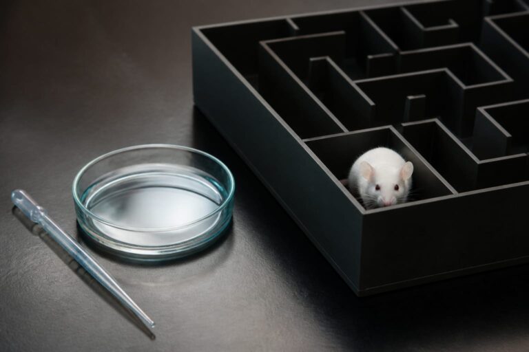 Poate exista o variantă la Ozempic fără greață? O moleculă naturală testată la animale a redus mâncatul cu până la 50%