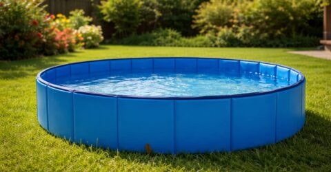 Piscinele din plastic dur pentru câini câștigă teren în 2024