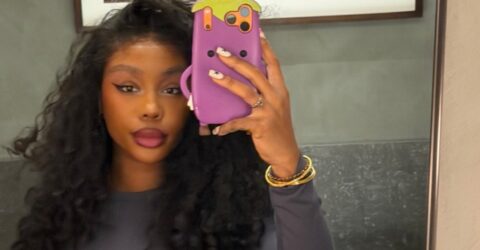 SZA a pozat pe Instagram într-o rochie lila cu decolteu până la talie. Cum porți ideea în viața reală
