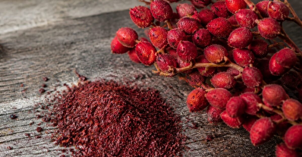 Sumacul, mai mult decât un condiment pentru shaorma. Cercetările arată beneficii pentru piele, digestie și imunitate