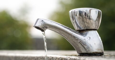 5 reguli simple îți salvează vacanța de toxiinfecție