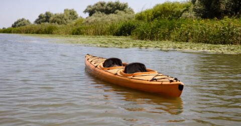 Turismul lent schimbă regulile vacanței. Câștigi timp, liniște și experiențe mai autentice