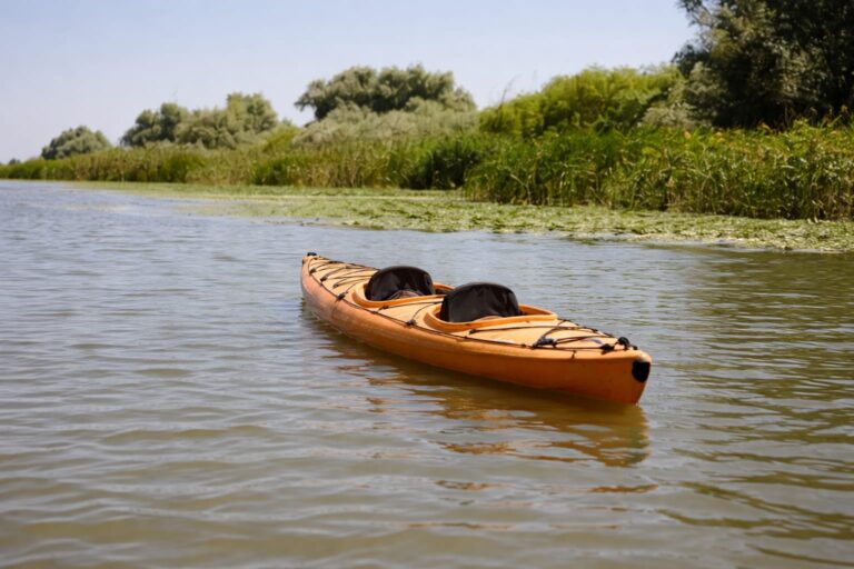 Turismul lent schimbă regulile vacanței. Câștigi timp, liniște și experiențe mai autentice