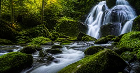 Videoclipurile cu natură te scapă de stres mai bine decât imaginile urbane