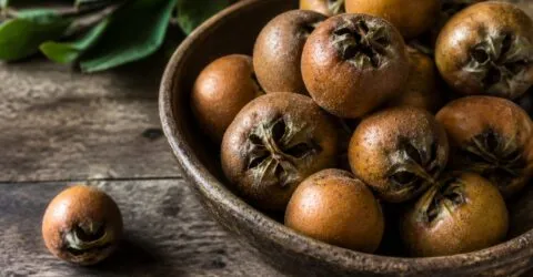 Moșmonul, fructul uitat mii de ani, revine în alimentația europeană. Ce aduce nou în farfurie