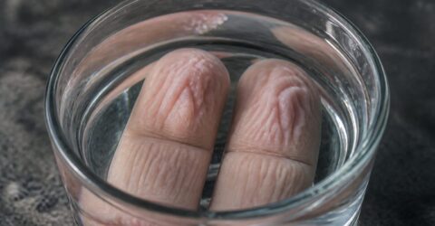 De ce ți se zbârcesc degetele în cadă sau la piscină și de ce corpul tău face asta intenționat