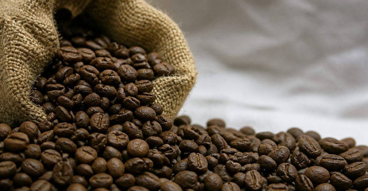 Slow Coffee Festival aduce 145 de expozanți la Romexpo. Publicul participă în weekend