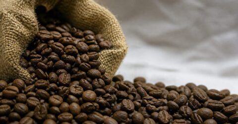 Slow Coffee Festival aduce 145 de expozanți la Romexpo. Publicul participă în weekend