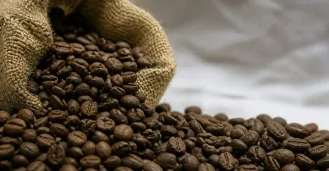 Slow Coffee Festival aduce 145 de expozanți la Romexpo. Publicul participă în weekend