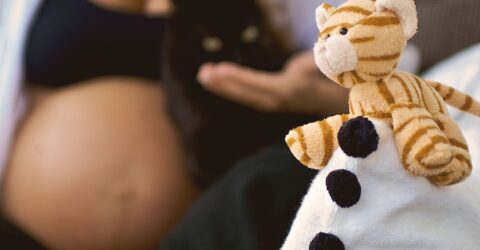 Cum te protejezi de toxoplasmoză în sarcină fără să renunți la pisică. Precauțiile pentru bucătărie și litieră